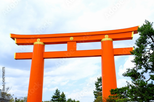 Red torii gate view of on white clouds isolated sky,green pine trees in the city,Japan.