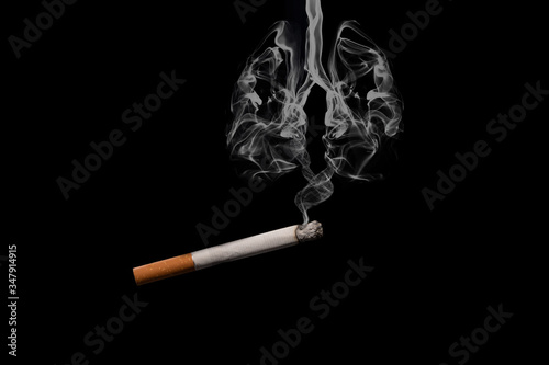 view of a cigar with smoke forming lungs