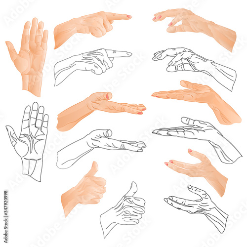 Human hands  drawing and outline watercolor set on a white background  vintage vector illustration  editable hand draw