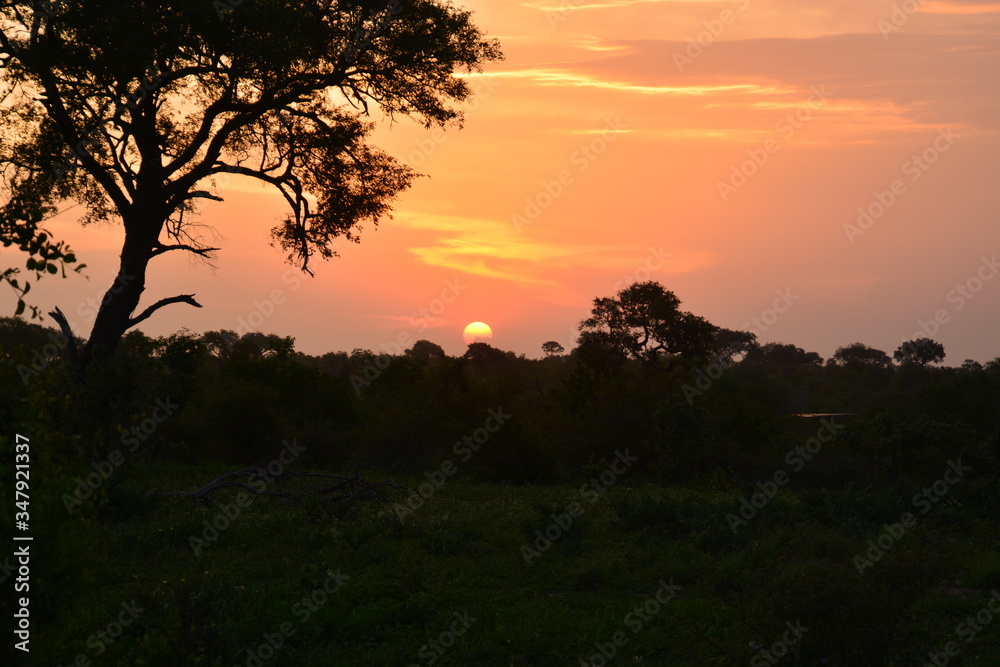 Sunset Kruger National Park - South Africa