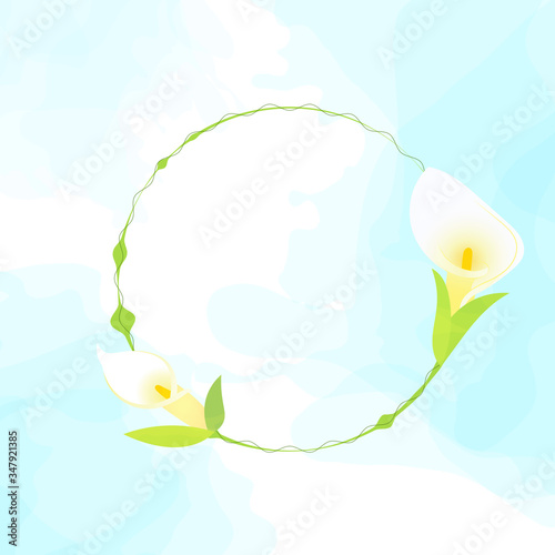 CALLA photo