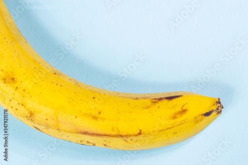 Ugly yellow banana with black spots on a pink and blue background close-up