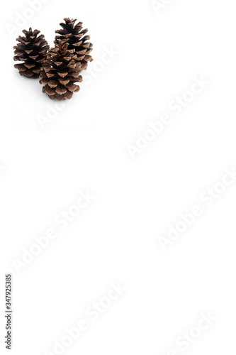Three pinecones poster mocksup with copy space for custom text or graphics on a white background in vertical orientation. photo