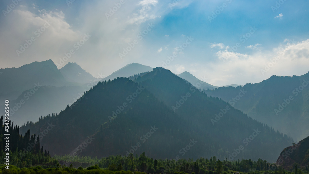 foggy mountains with spruce forests on the slopes