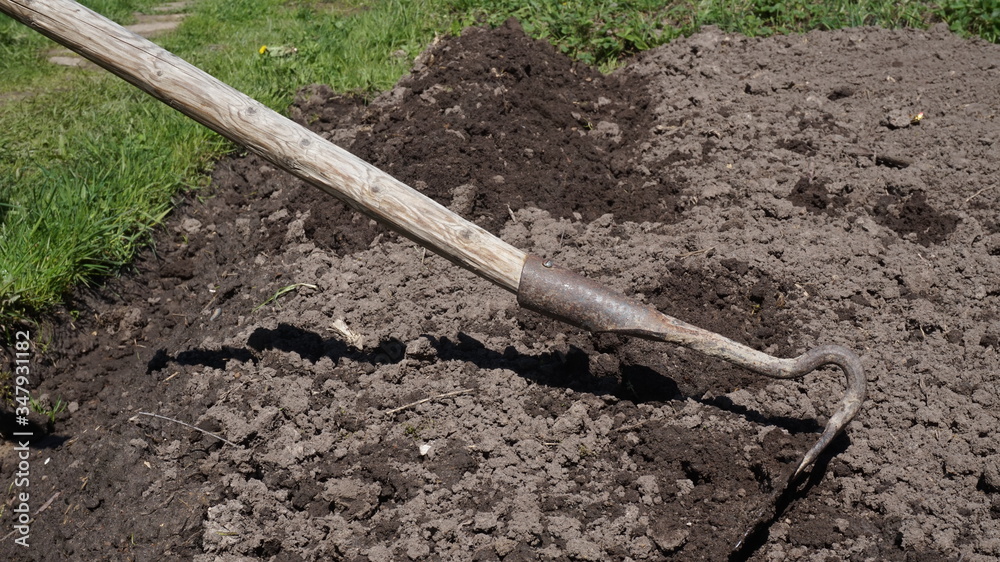 planting a garden. making beds with a hoe. chernozem planting a garden. making beds with a hoe. chernozem