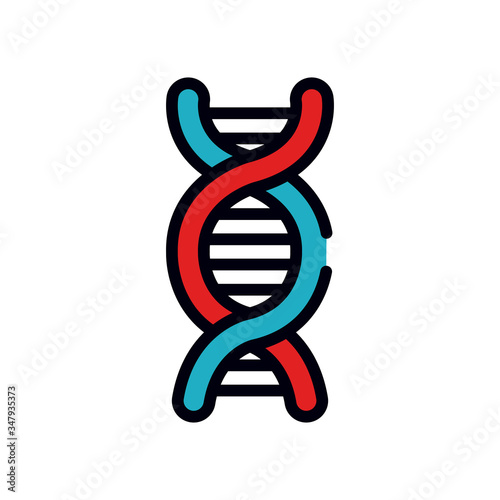 DNA chain icon, line and fill style