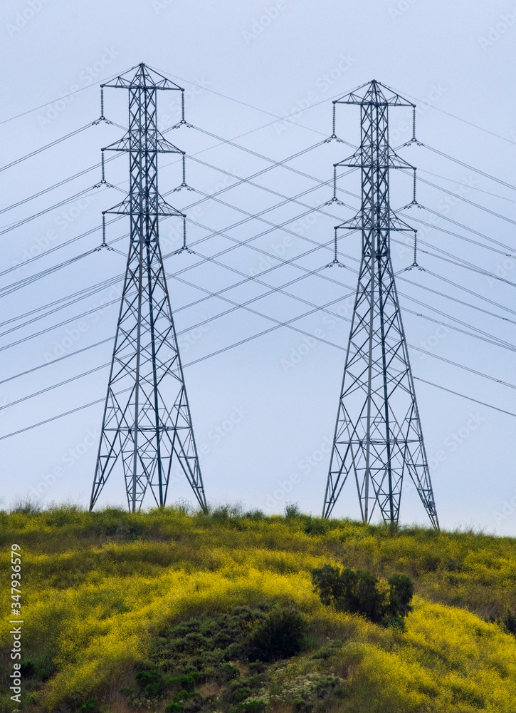 Power Towers On Top Of Wildflower Hill Power Towers On Top Of Wildflower Hill