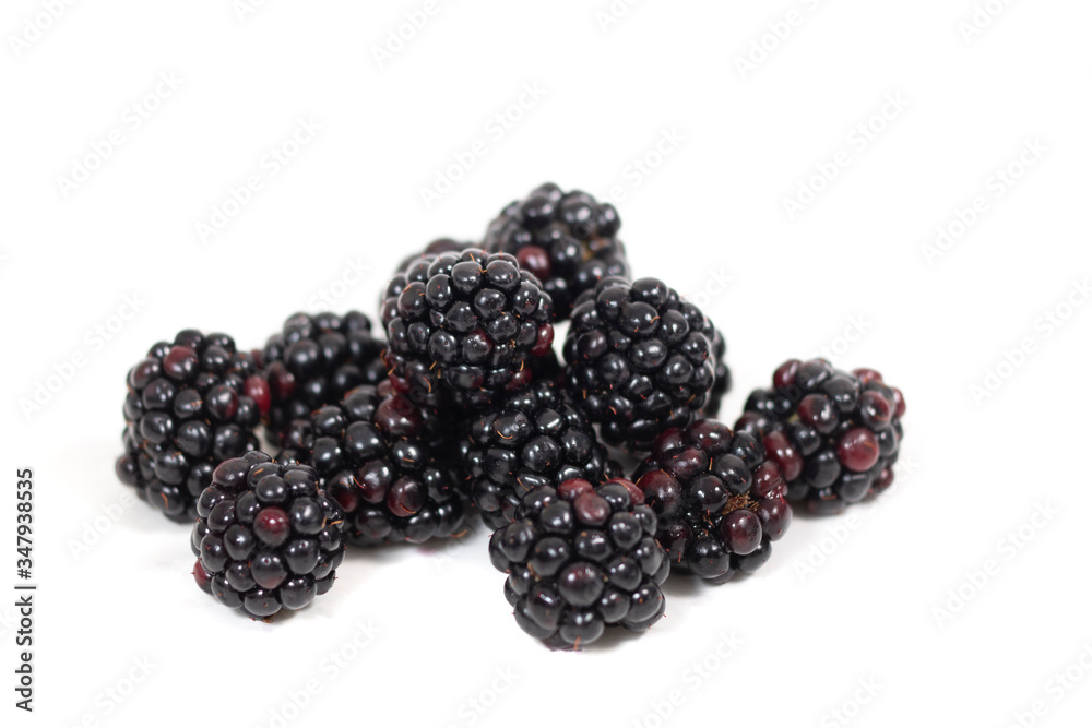blackberries white background blackberries white background