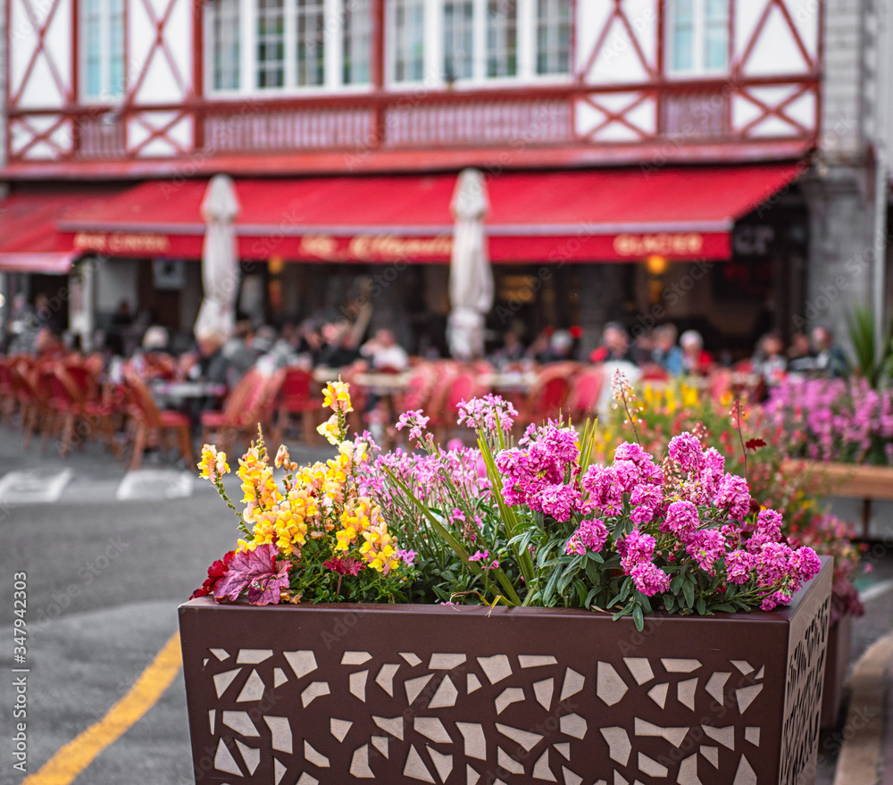 Flowers in the historic old town of St Jean de Luz in the Basque Country, France