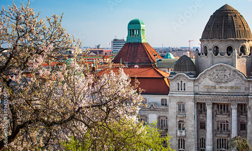 Gellert thermal baths in Bu...