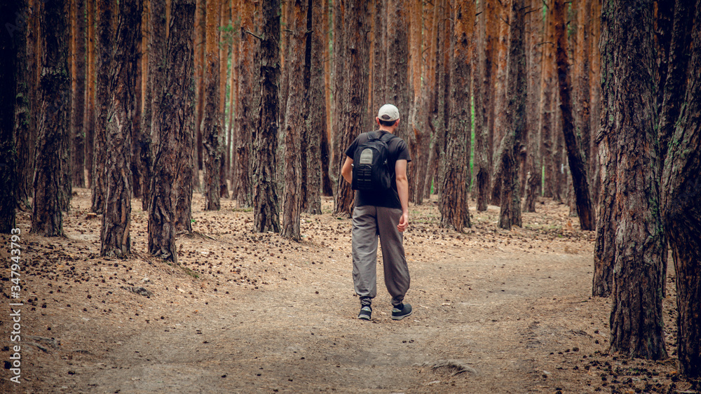 guy walks along a path in the woods among the trunks of pines guy walks along a path in the woods among the trunks of pines
