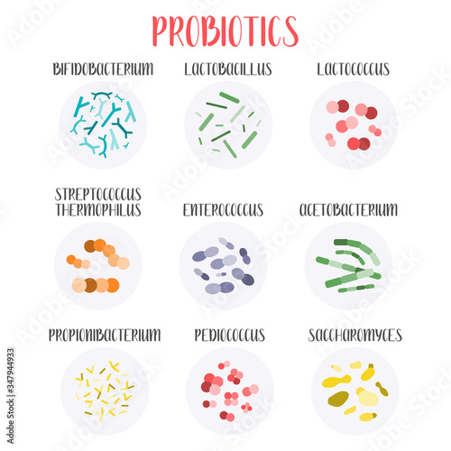 Probiotics. Lactic acid bacteria. Good bacteria and microorganisms for gut and intestinal flora health. Microbiome. Bifidobacterium, lactobacillus,  lactococcus, thermophilus streptococcus. Vector set photo