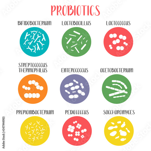 Probiotics. Lactic acid bacteria. Good bacteria and microorganisms for gut and intestinal flora health. Microbiome. Bifidobacterium, lactobacillus,  lactococcus, thermophilus streptococcus. Vector set