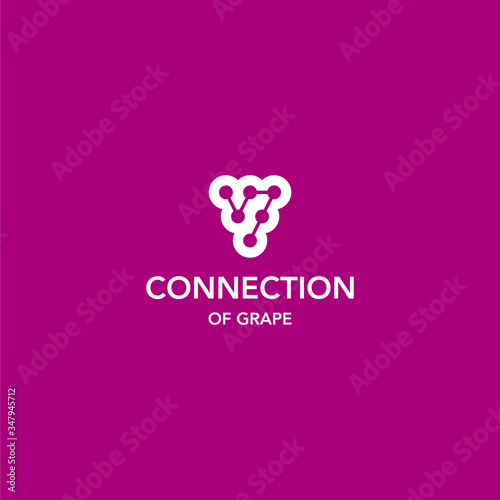Clean and unique logo design of grape with clear background colours - EPS10 - Vector.