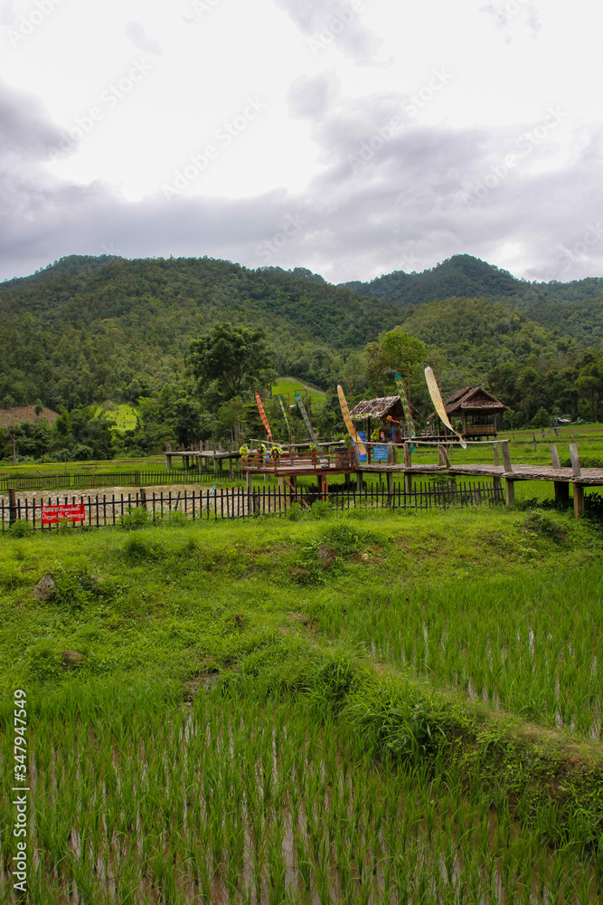 Rice fields with bamboo bridge and background flags in Pai, Thailand