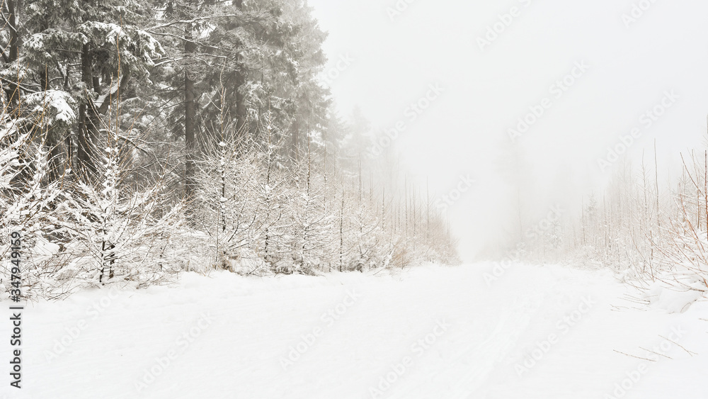 Obraz premium Winter scenery, thick layer of snow in the mountains, snowy trees in the forest.