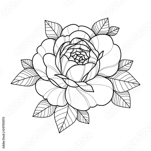 Hand drawing flower for greeting card, invitation, Henna drawing and tattoo template. Vector illustration