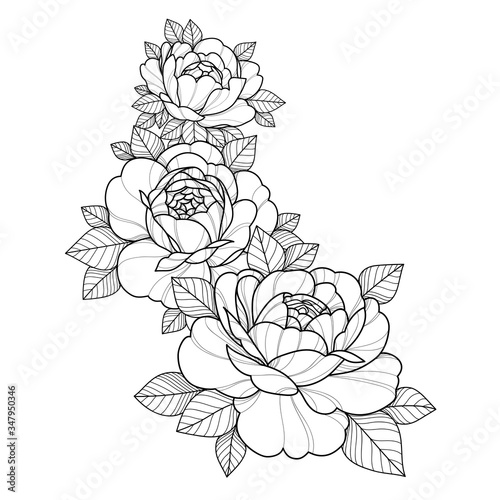 Hand drawing flowers for greeting card, invitation, Henna drawing and tattoo template. Vector illustration