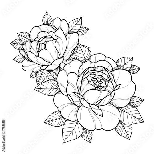 Hand drawing flowers for greeting card, invitation, Henna drawing and tattoo template. Vector illustration