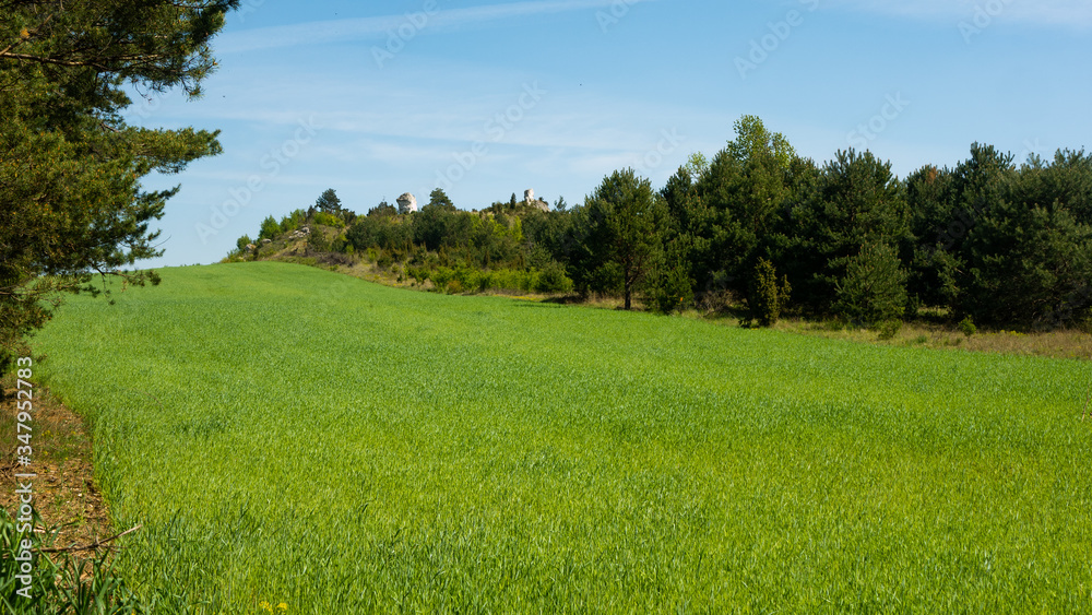 View of the Sokolich Mountains Reserve. Free entry space.
View of the Sokolich Mountains Reserve. Free entry space.