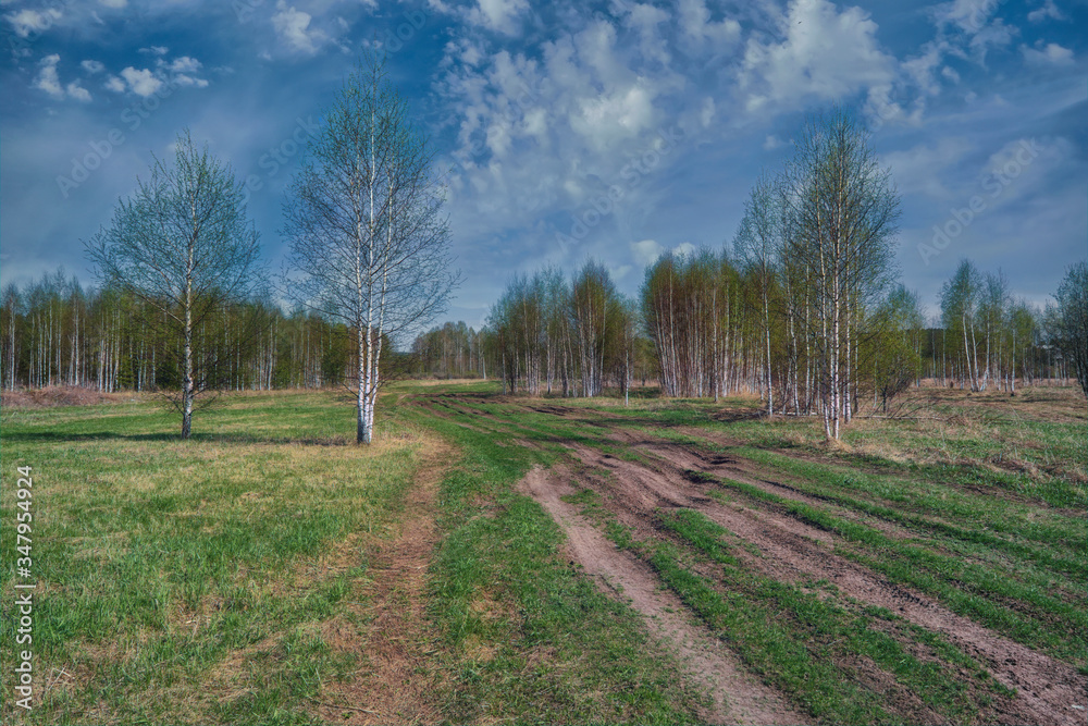 Landscape early spring trees with open leaves against the sky and white clouds.