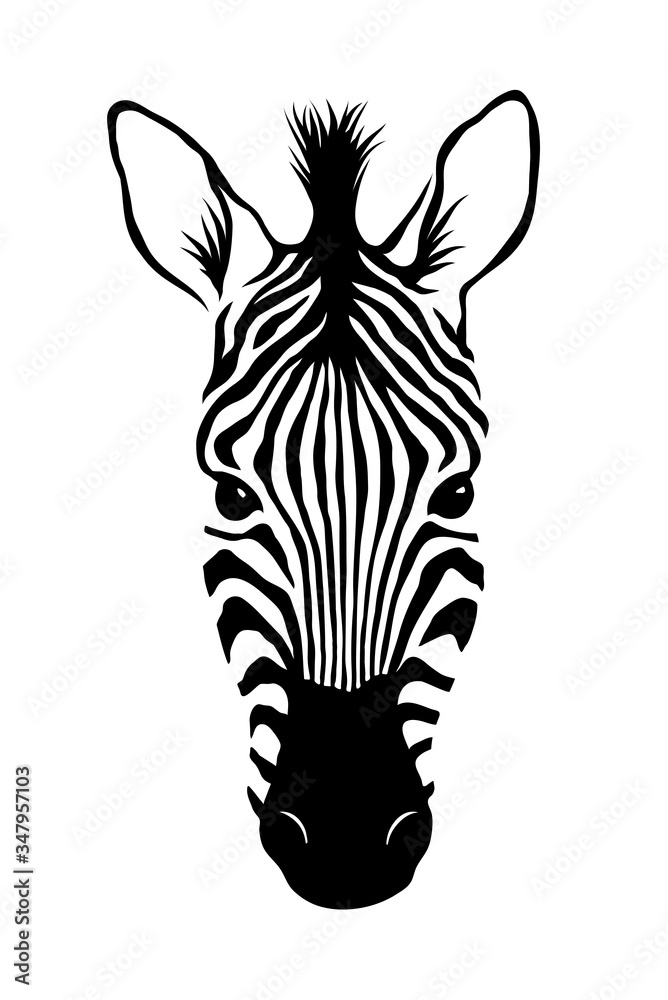 Zebra head, Animal face isolated on white background vector Illustration. Graphic Design for logo. wildlife and fauna zoo