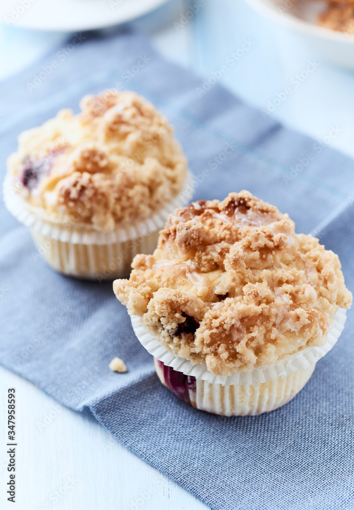 Blueberry Muffins on bright background. Close up. Blueberry Muffins on bright background. Close up.