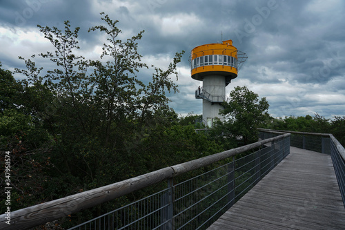 Hainich Baumkronenpfad Turm photo