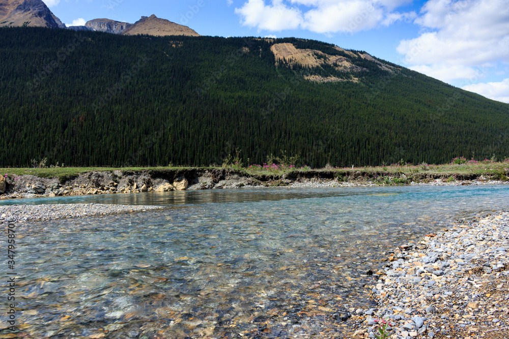 Fototapeta premium Flussbiegung Rocky Mountains