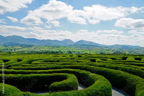 Castlewellan Peace Maze in Castlewellan, Northern Ireland. Mourne Mountains in the background