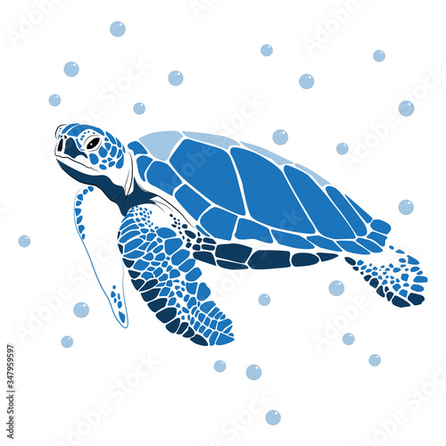 graphic sea turtle,vector illustration of sea turtle,vector of turtle design on a white background