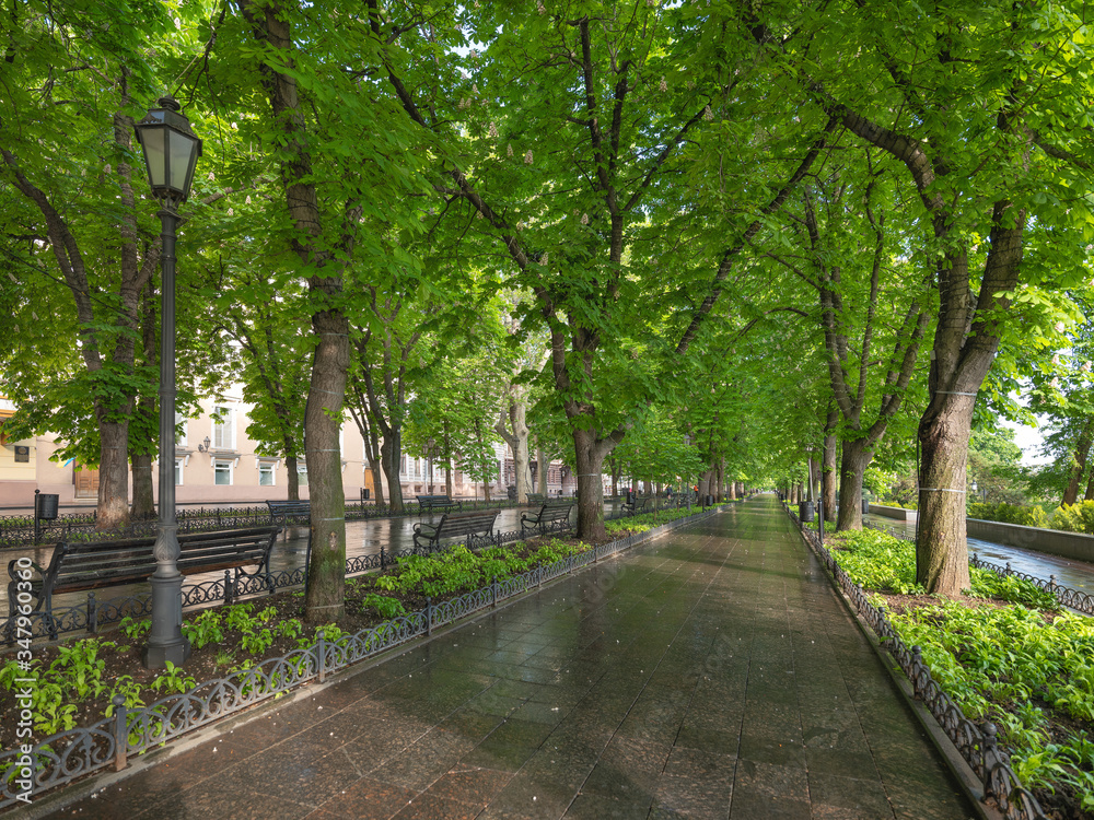 view to Primorsky boulevard with green trees and nobody in the morning in Odessa in Ukraine view to Primorsky boulevard with green trees and nobody in the morning in Odessa in Ukraine