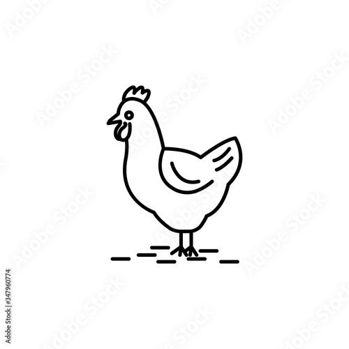 chicken line illustration icon on white background