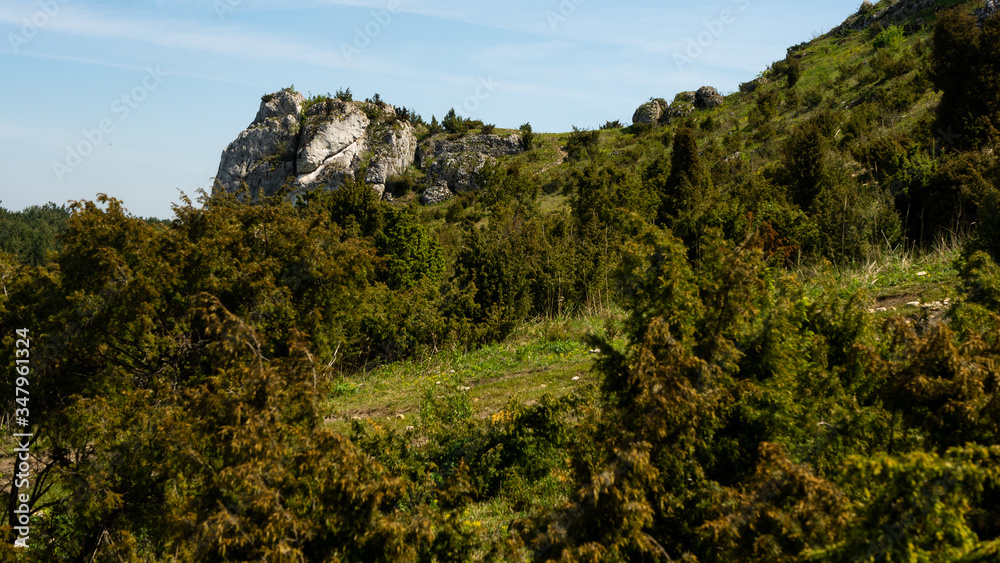 View of the Sokolich Mountains Reserve and rock stones in Olsztyn. A free space for an inscription View of the Sokolich Mountains Reserve and rock stones in Olsztyn. A free space for an inscription