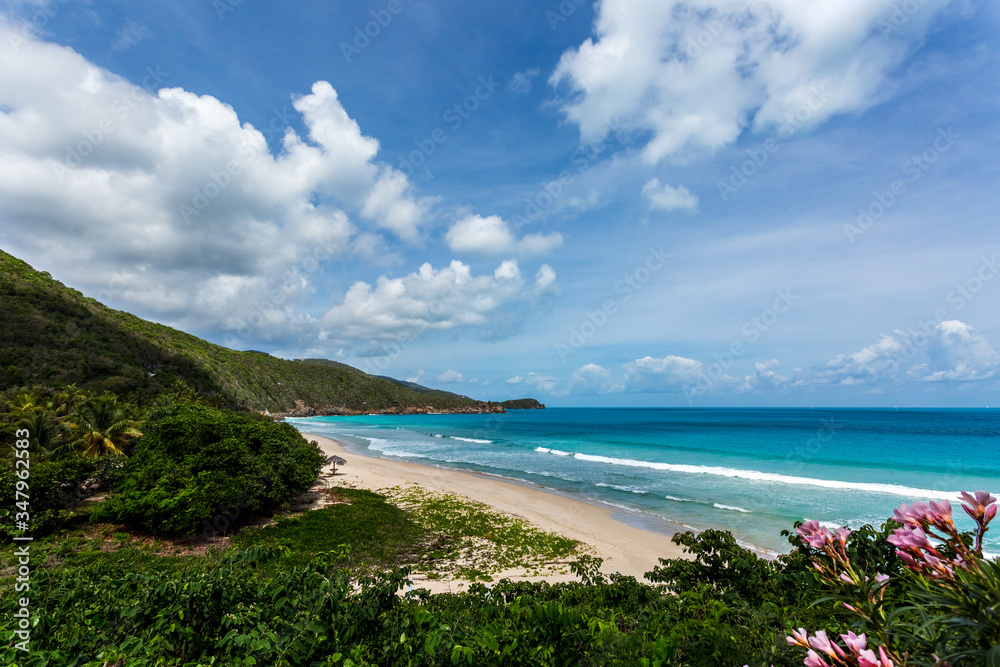 tropical beach with blue sky