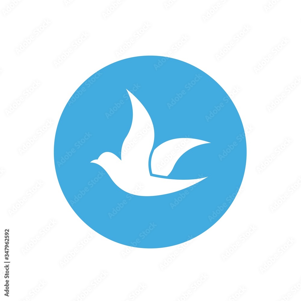 dove bird icon vector illustration design dove bird icon vector illustration design