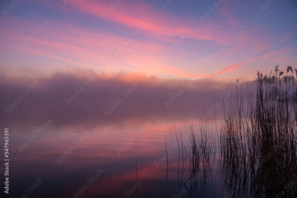 Nebeliger Morgen am Erlensee bei Halte (Ostfriesland) Nebeliger Morgen am Erlensee bei Halte (Ostfriesland)
