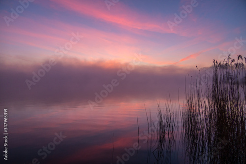 Nebeliger Morgen am Erlensee bei Halte  Ostfriesland 