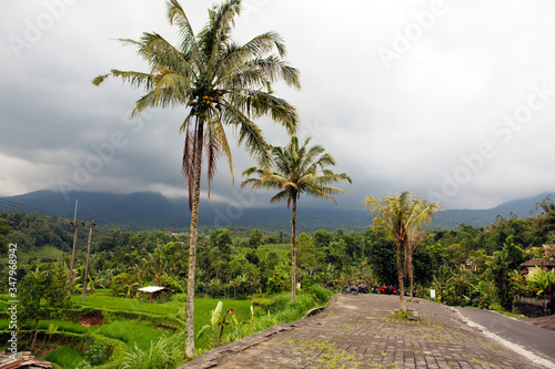 view of rice terraces in cloudy day. Indonesia. Bali. © olga_v