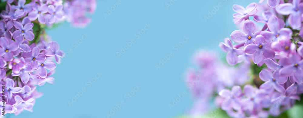 Spring and summer floral background