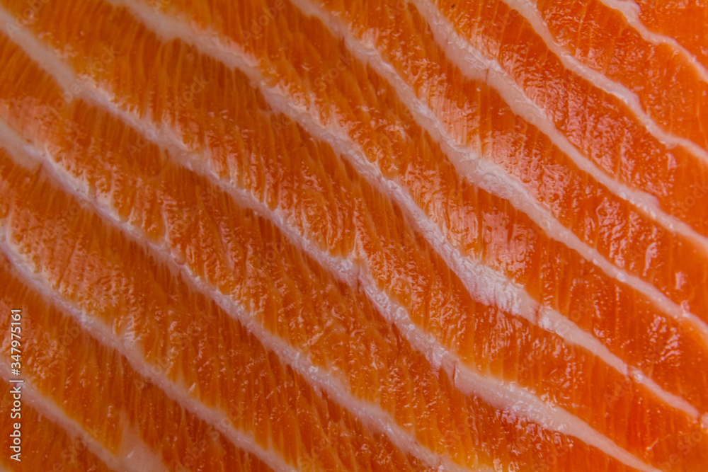 Texture of salmon fish fillet for the background Texture of salmon fish fillet for the background