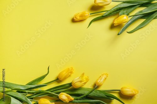 Tulips on a yellow background. Valentines day concept. International Women's Day. Mother's day.