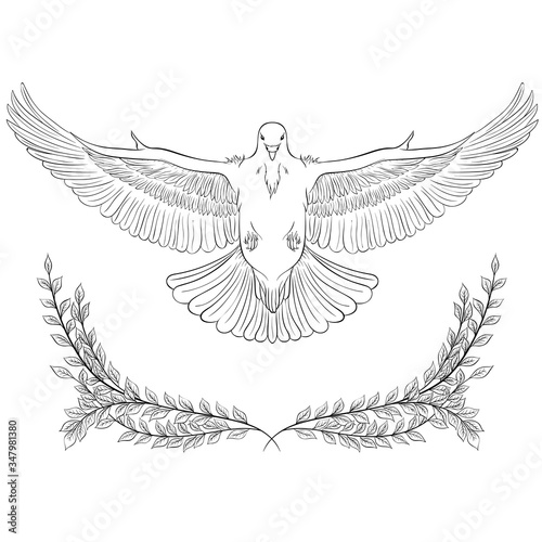 Dove bird hand drawn illustration in line art style isolated on white background. Flying dove with spread wings. Concept of love or peace