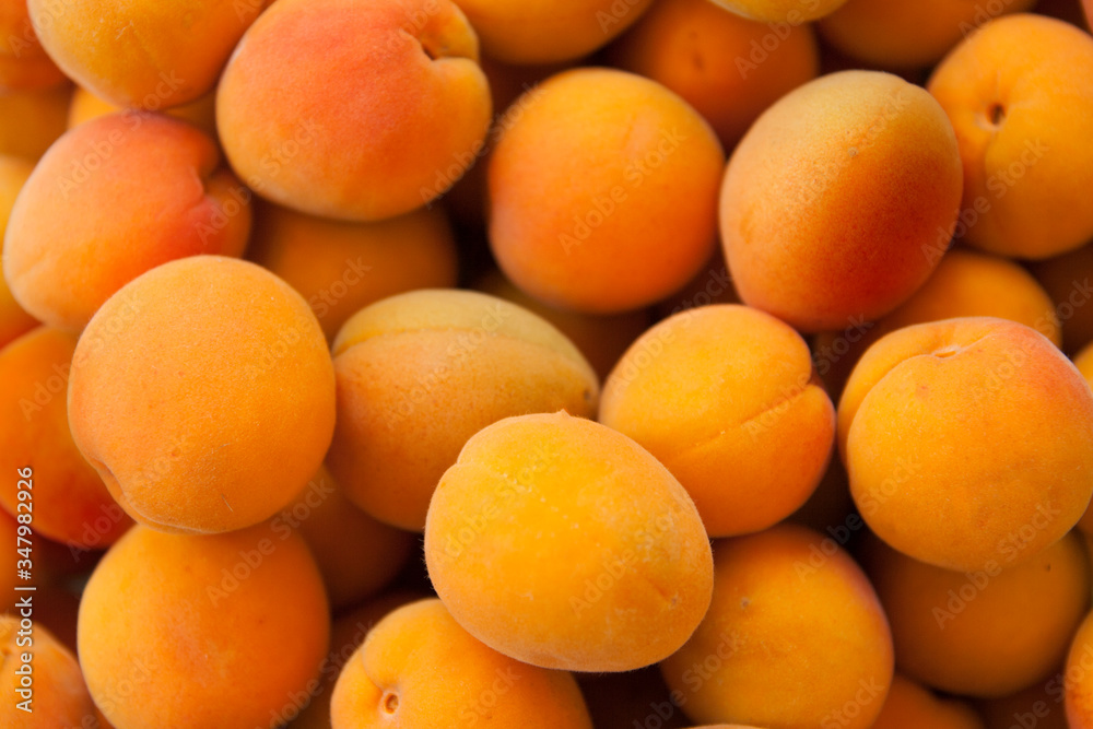 Appetizing ripe apricots top view. Summer fruits, food, concept, background