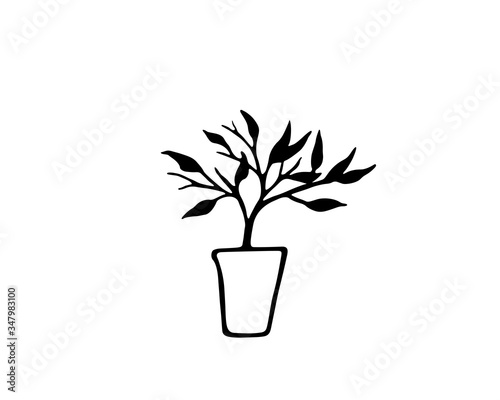 Black silhouette of a houseplant, simple vector drawing