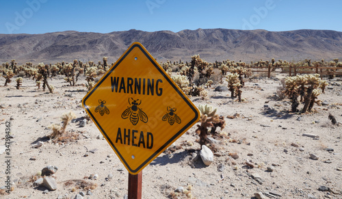 A yellow signs warns of bees ahead near a small cactus grove photo