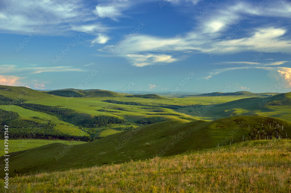 Distant green hills and flowering stapes. Zabaykalsky Krai. Russia.
