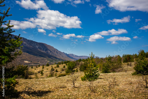 Forests and meadows on old mountain (stara planina) in serbia