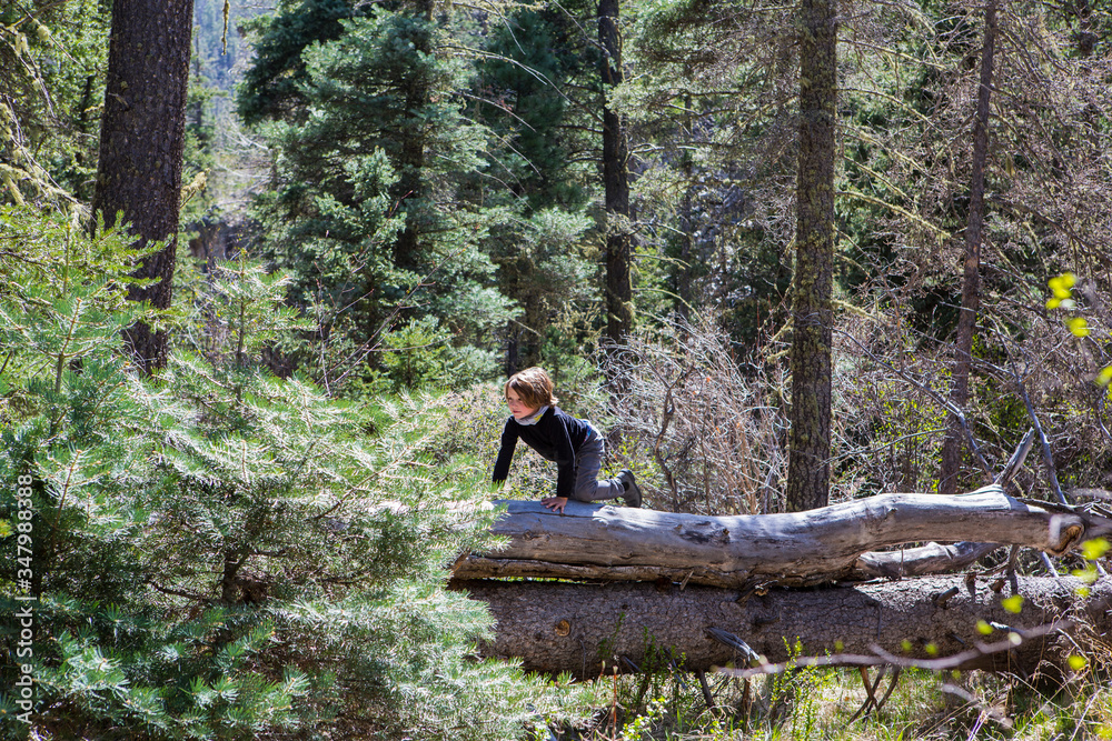 young boy climbing on fallen tree trunk young boy climbing on fallen tree trunk
