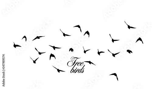 A flock of flying silhouette birds. Vector illustration